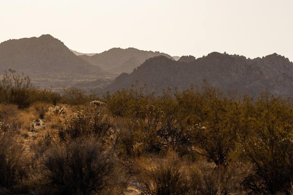 Panoramic Heaven - Luxury Designer Property W Spa Joshua Tree Exterior foto