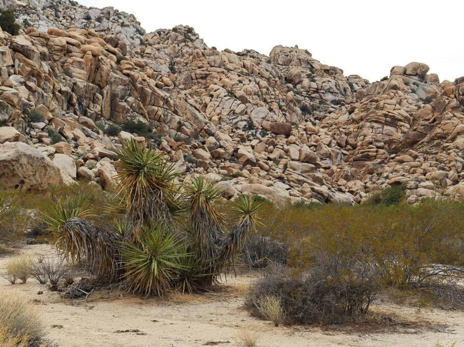 Panoramic Heaven - Luxury Designer Property W Spa Joshua Tree Exterior foto