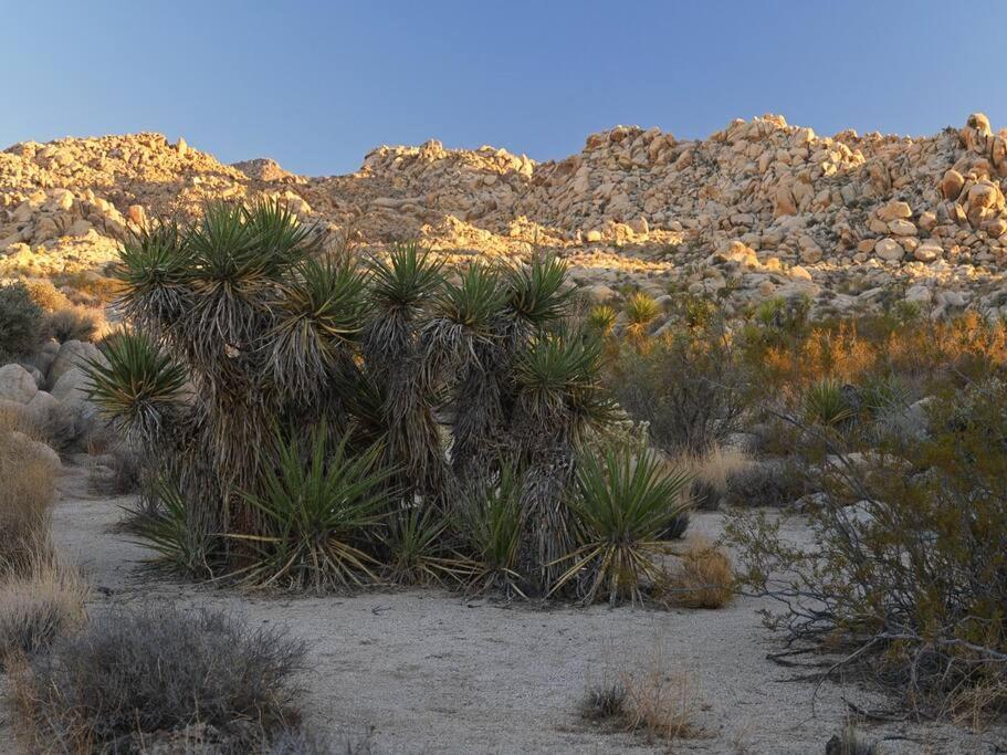 Panoramic Heaven - Luxury Designer Property W Spa Joshua Tree Exterior foto